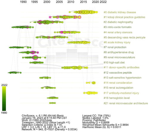 Figure 9. Timeline and clustering view of all co-cited references in renal microcirculation research. Cluster terms are displayed on the right and arranged in descending order of cluster size. Nodes (papers) are organized horizontally based on their publication year, and links are color-coded according to the year when the link between two nodes (references) was first established.