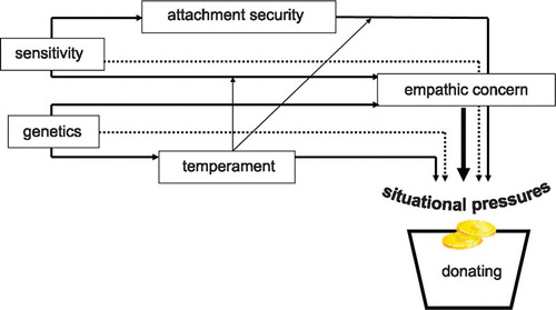 Figure 1 Attachment‐based developmental model of moral behaviour