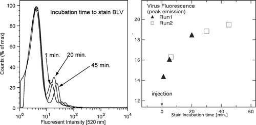 FIG. 10 Increasing emission of (a) the stained Baculo-virus population, and (b) the peak emission intensity of the virus population versus time.
