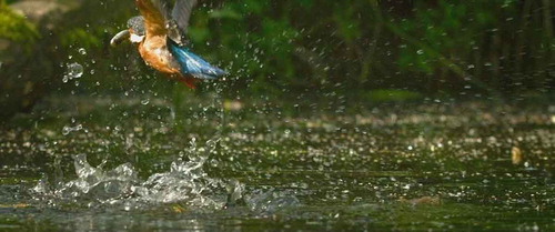 Figure 3. The New Wilderness, screenshots showing the use of slow motion.