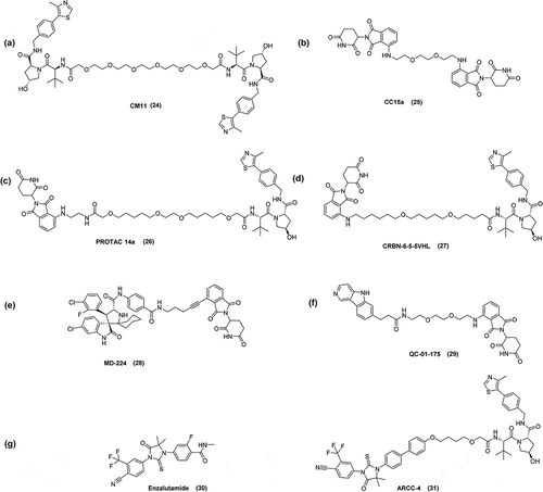 Figure 5. (a) VHL HomoPROTAC, (b) CRBN HomoPROTAC, (c and d) CRBN – VHL PROTACs, (e) MDM2 – CRBN PROTAC, (f) Tau-CRBN PROTAC, (g) structures of enzalutamide and ARCC PROTAC