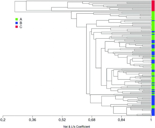 Figure 4. Phenetic dendrogram for populations of Gomortega keule generated by cluster analysis with UPGMA using the index of Nei & Li (Citation1979) and the software MVSP 3.13.