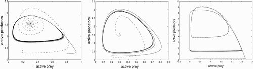 Figure 1. Three phase planes for the MacArthur–Rosenzweig system (solid) and the corresponding system with quiescence (dashed, trajectories have been projected from four dimensions onto the u, v-plane). In each case, the MR system has a limit cycle. Left (just inside the stability region): the system with quiescence has a stable stationary point. Centre (deep inside the stability region): rapid convergence to stationary point. Right (outside the stability region): both systems have limit cycles. The projected limit cycle of the quiescent system is much smaller than that of the MR system.