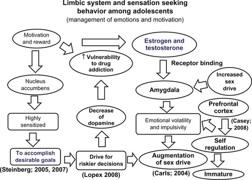 Figure 4 An algorithmic diagram illustrating the management of emotions and motivation by the limbic system in the adolescent brain.