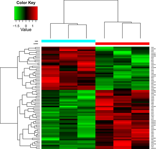 Figure 1 Heatmap of DEPs. Each row represents a protein, each column represents a sample/repeat, and each color represents a different expression level (log10 for quantification and median correction). The P value was not adjusted for the false discovery rate.