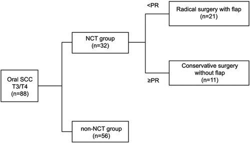 Figure 1 Flow chart for the patient grouping in this study.