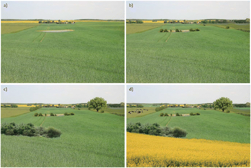 Figure 2. Developed base landscape with (a) all attributes set at level 1; (b) all attributes set at level 2, except for livestock at level 1; (c) linear and point elements set at level 3, crop div. at level 2 and livestock at level 1; and (d) all attributes set at their highest level (3 or 2, respectively).