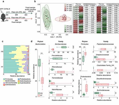 Figure 1. Fiber deprivation in mice harboring a complex microbiome results in changes in bacterial families