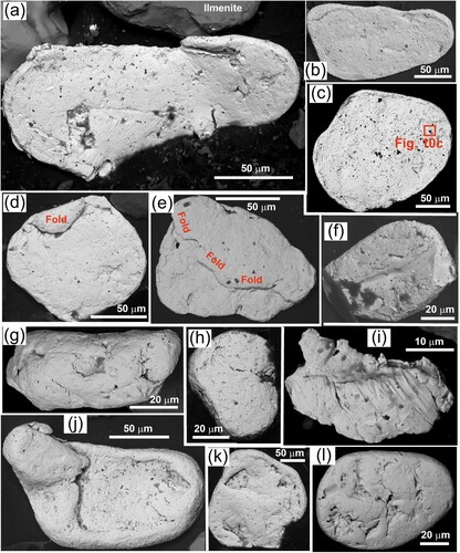 Figure 9. Backscatter electron images showing the morphology of detrital gold particles from a Millennial dune at Waipapa beach. (a–e) Variably flattened and fold flakes. (f–i) Irregularly shaped fine particles. (j–l) Particles with toroidal morphology (see text).