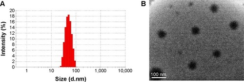 Figure 5 Characterization of Gen-MEs.Notes: (A) Particle size distribution; (B) morphology of Gen-MEs observed by TEM.Abbreviations: Gen-MEs, genistein-loaded micellar emulsions; TEM, transmission electron microscopy.
