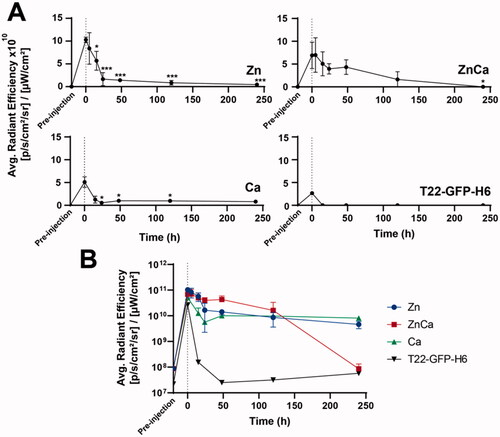 Figure 4. Kinetics of protein depot leakage upon ex vivo examination, no background subtraction. (A) Individual kinetics of protein leakage upon subcutaneous administration of either Zn-, Ca-, or CaZn-based granules. Soluble T22-GFP-H6 (in form of nanoparticles) was injected as a control. (B) A comparative plotting of the above data. Differences with data at time 0; *p ≤ .05, ***p ≤ .001.