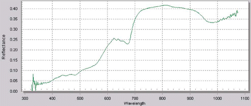 Figure 1 Original reflectance spectra for one apple (325–1075 nm) (mean value of 30 scans).