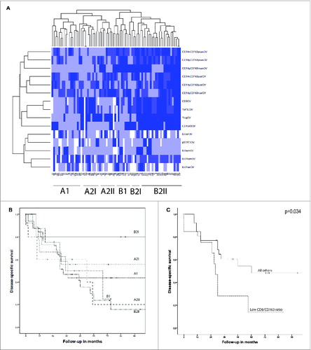 Figure 3. (A) A heatmap was created by unsupervised hierarchal clustering of patients based on all known immunological parameters. Included were lymphoid and myeloid cell populations and markers of the IL-6 signaling pathway. The changes from the lowest to highest tertile are reflected by a darker color, white boxes are missing data. On the X-axis the 76 included patients are depicted, and on the Y-axis all immune parameters are indicated. Each column represents the immune profile of one patient. Brackets to the left and along the top indicate the unsupervised clustering. (B) Kaplan–Meier analysis for the disease-specific survival of the six subgroups as determined by clustering analysis. A significant survival difference was found between groups B2I and B2II (p = 0.039). (C) Kaplan–Meier survival analysis for disease-specific survival of CD8/CD163 ratio lowest tertile vs. all other patients in patients with a high lymphocyte infiltrate (above median). Patients with a low ratio had significant shorter DSS (p = 0.034). Differences were analyzed by Log Rank test.
