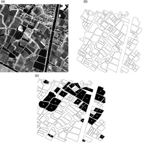 Figure 2. Change detection of area features. (a) The pre-orthorectification QuickBird image of Shanghai Pudong Zone, which consists of farmlands, ponds, vegetation, rivers, houses, etc., and is comparatively flat. (b) The pre-processed corresponding GIS data from 1998 in a local georeference system. (c) Change detection results of the total solution procedure, with the area objects changed after the period of time numbered. (a) QuickBird image in 2002, (b) pre-processed vector data in 1998 and (c) change detection result of area objects.