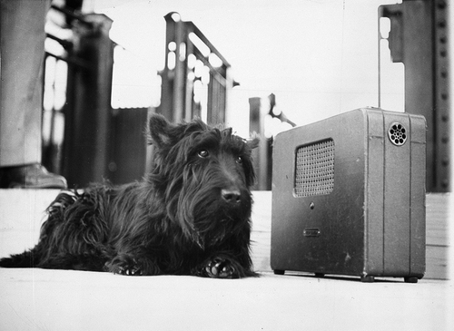 Figure 1 “Fala listens to his master.” As reproduced in New York Times, July 22, 1944. © AP Images. Reproduced by permission of AP Images. Permission to reproduce must be obtained from the original rightsholder.