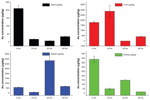 Figure 3 Biodistribution of body weight in mice for 5, 10, 30, and 60 nm PEG-coated gold particles at the dose of 4000 μg/kg after 28 days of treatment. Spleen and liver were the main target accumulation organs. The 5 nm particles had a wide distribution in live, heart, kidney, while the 10 and 30 nm particles preferentially stayed in the liver and spleen, respectively.