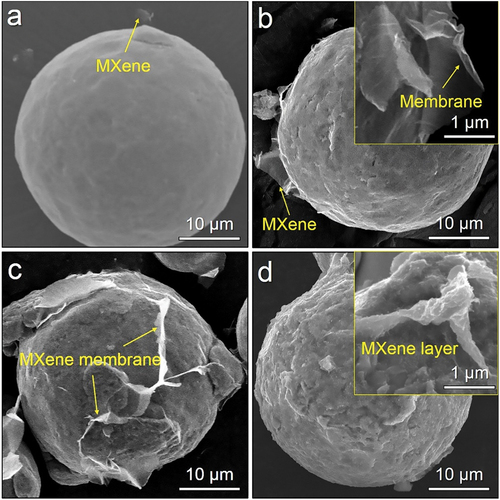 Figure 3. SEM images of MXene/Ti composite powder fabricated by fluidised bed at different MXene concentrations: (a) 0.1 wt.%, (b) 0.3 wt.%, (c) 0.5 wt.% and (d) 1.0 wt.%.