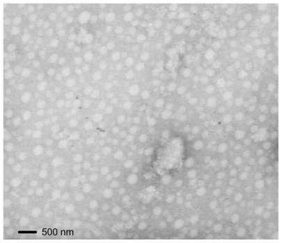 Figure 4 Transmission electron microscope image of paclitaxel-loaded micelles.