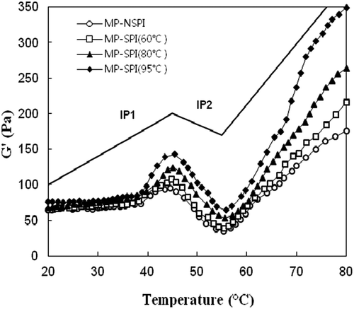 Figure 2. Representative rheograms of heat-induced mixed MP-SPI gels.Figura 2. Reogramas representativos de la mezcla de geles MP-SPI inducida con calor.