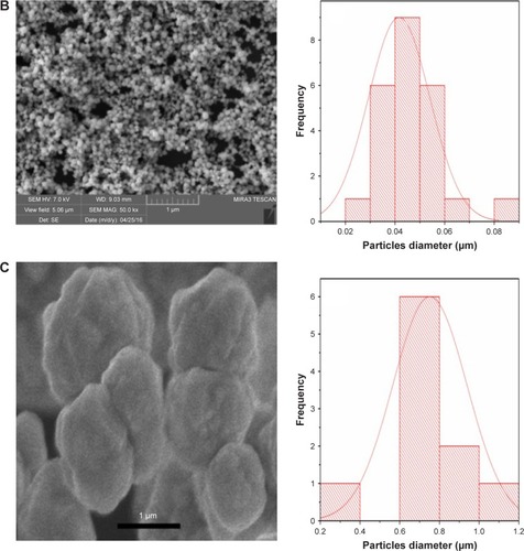 Figure 1 Scanning electron micrographs and size distribution plots of (A) copper, (B) palladium and (C) palladium@copper bimetallic nanoparticles.