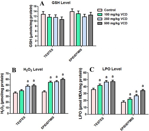 Figure 3. Glutathione (GSH), hydrogen peroxide production (H2O2) and lipid peroxidation levels in testes and epididymis following 28 consecutive days of VCD treatment in rats. Each bar represents mean ± SD of 10rats. aP < 0.05 versus Control.