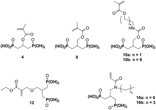 Figure 2 Structure of the monomers 4, 8, 10a,b, 12 and 16a,b.