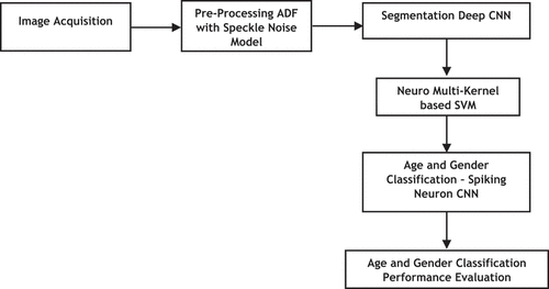Figure 1. Block diagram of age and gender identification approach.
