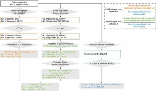 Figure 1. The inclusion flow charts defining the pertussis diagnosed and undiagnosed cohorts, and general population.