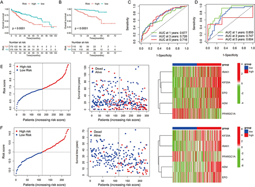 Figure 3 Evaluation and validation of the hypoxia- and lactate metabolism-related prognostic model (HLPM). (A and B) Kaplan-Meier survival analysis of two risk groups in the TCGA-LIHC cohort and ICGC-LIRI-JP cohort. (C and D) Receiver operating characteristic (ROC) curve verified the prognostic value of the HLPM in the TCGA-LIHC cohort and ICGC-LIRI-JP cohort. (E and F) Distribution of risk score, survival time and survival status of patients, and expression of the five HLRGs in the TCGA-LIHC cohort and ICGC-LIRI-JP cohort.