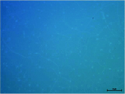 Figure 4. Optical microscope image of a slide with an applied layer of graphene.