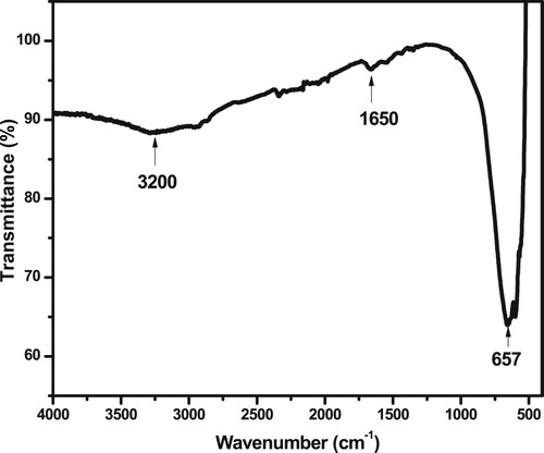 Figure 6. FTIR spectra of the G-TiO2 sample calcined at 600 °C.