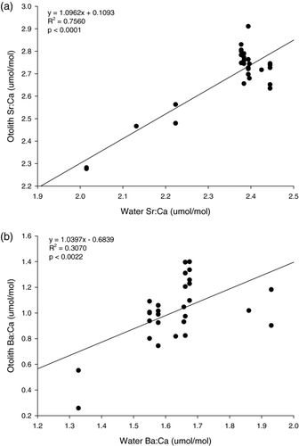 FIGURE 4 Linear regressions of (a) the otolith Sr:Ca values of individual age-0 blueback herring on the mean Sr:Ca values in the water at the collection sites and (b) the otolith Ba:Ca values of individual age-0 blueback herring on the mean Ba:Ca values in the water at the collection sites. See Figure 3 for additional information.