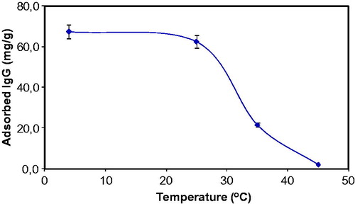 Figure 6. Effect of temperature on IgG adsorption onto S. papillosissima. IgG concentration 0.5 mg/mL; pH: 5.0.