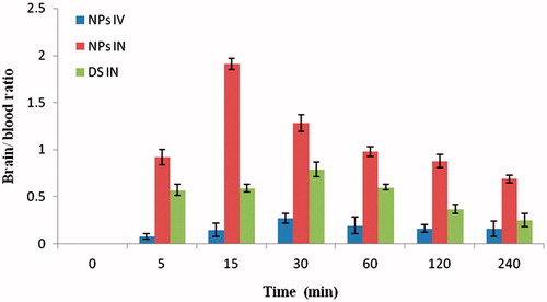 Figure 6. Brain–blood ratio at different time interval by RAS CG-NPs (i.n.), RAS CG-NPs (i.v.) and RAS solution (i.n.) in mice (n = 3 ± SD).