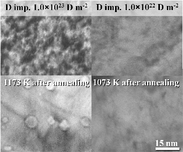 Figure 4. TEM micrographs for D2+ implanted W with the ion fluence of 1.0×1022 D+ m−2 and 1.0×1023 D+ m−2, both before and after annealing micrographs are shown here.