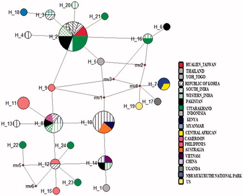 Figure 2. MJ – a network of the 24 D. chrysippus haplotypes reconstructed in NETWORK. Each circle represents haplotypes, and the diameter of the circle is approximately proportional to the number of samples present in the haplotypes. Colour represents the geographic locations of the haplotype.