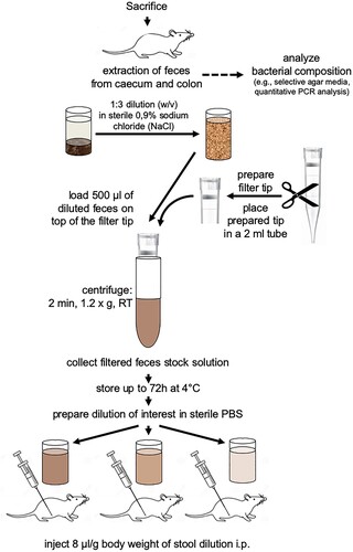 Figure 1. Preparation of feces and intraperitoneal stool injection (IPSI). For a detailed description of the methodology please refer to the methods section. PBS = Phosphate-buffered solution, RT = room temperature.