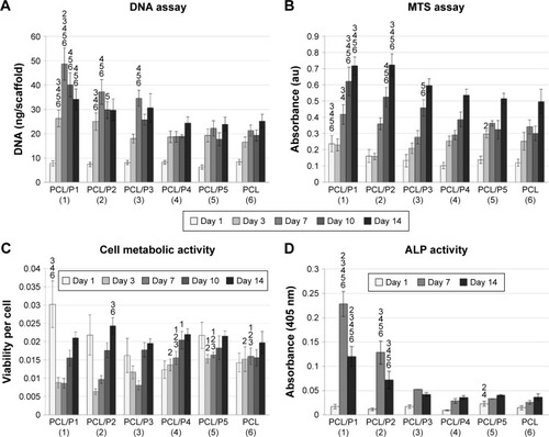 Figure 3 MG-63 cell proliferation, metabolic activity and ALP activity.Notes: Cell proliferation was measured using quantification of DNA (A). Cell metabolic activity was measured using MTS assay (B). Both cell proliferation and metabolic activity were highest in samples with the highest platelet concentrations (PCL/P1 and PCL/P2). Metabolic activity was subsequently related to the DNA content (C). ALP activity was highest in samples with the highest platelet concentrations (PCL/P1 and PCL/P2; D). The numbers above the columns in the graphs represent the numbers of the samples (corresponding to numbers in parentheses on the x-axis) to show statistically significant differences.Abbreviations: PCL, poly-ε-caprolactone; P, platelets; ALP, alkaline phosphatase.