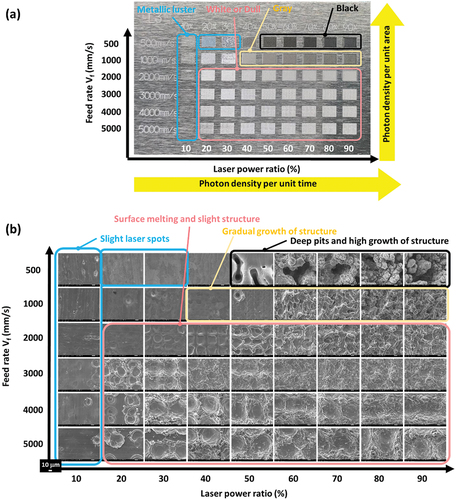 Figure 5. Picture and SEM images of laser treated surface of A6061 substrate for various combination of feed rate Vf (500–5000 mm/s) and laser power ratio (10–90%).