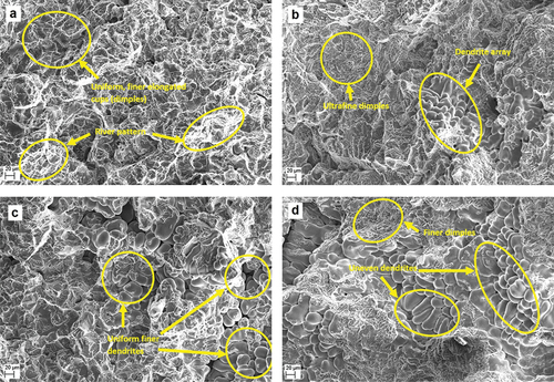 Figure 13. SEM fractographs of AA6061–6 wt.% Cu composites (a) as cast, (b) age hardened, (c) LTMT at 100 °C, and (d) LTMT at 180 °C conditions.