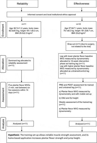 Figure 1. Experimental design: Reliability assessment of the mobile training set-up and effectiveness assessment of the 12-week long intervention of an isometric high-loading home-based plantar flexor muscle strength protocol. BMI = body mass index, MVC = maximum isometric voluntary contraction, PRE = baseline, POST = after the intervention phase, DJ = drop jump, CMJ = countermovement jump