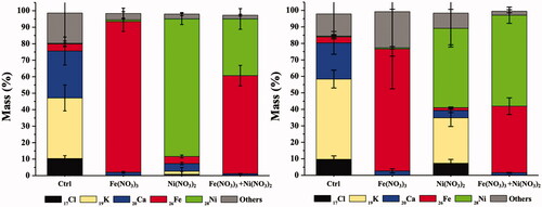 Figure 3. Elemental quantitative analysis of A. pinnata exposed to Fe(NO3)3 and Ni(NO3)2 in (A) roots and (B) shoots.