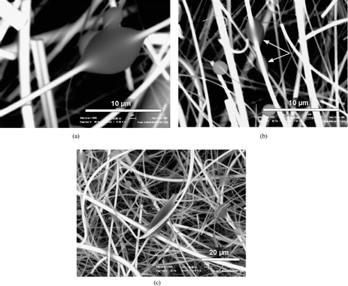 FIG. 2 Drops of n-hexadecane deposited on the quartz fibers of a W filter, observed by SEM. (a) axisymetric ondoloid drop in contact with only one fiber, (b) Clamshell shaped drop out of alignment with the bearing fiber, c) Drop deformed by simultaneous contact with several fibers.