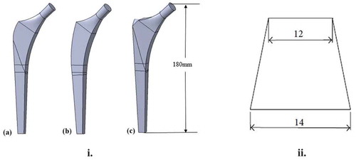 Figure 2. (a) Three different cross-section designs of trapezoidal stems. (b) Illustration to demonstrate the trunnion for example, in a “12/14” taper