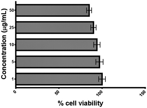 Figure 12. Cytotoxicity study for Ncs.