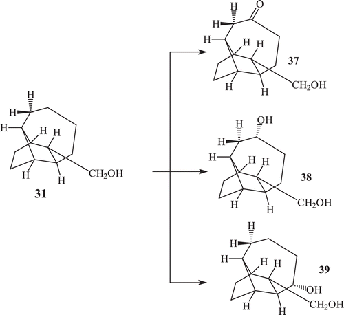 Scheme 12.  Metabolism of compound 31 by Fusarium lini.