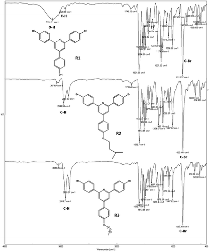 Figure 1 Compared FTIR spectra of synthesized monomers.