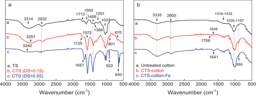 Figure 4. (A) FTIR spectra of TS and CTS with different DS, (b) FTIR spectrum of cotton, CTS-Cotton and Fe-CTS-Cotton.