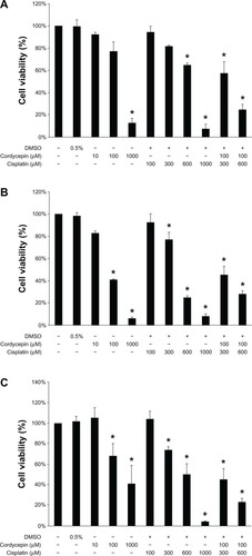 Figure 2 Effects of cordycepin and/or cisplatin on cell viability in HNSCC cell lines.