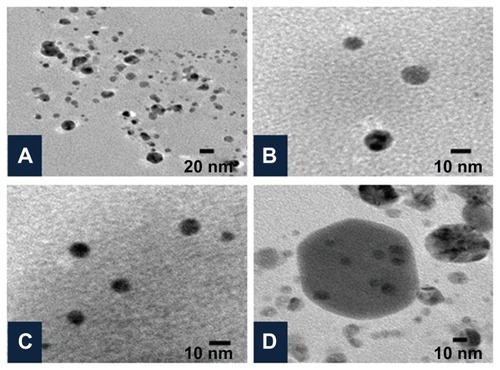 Figure 6 Characterization of silver nanoparticles formed with 1 mM AgNO3 and 5% Dioscorea bulbifera tuber extract at 40°C by high-resolution transmission electron microscopy. (A) Silver nanoparticles at a resolution of 20 nm, (B and C) spherical silver nanoparticles, and (D) Hexagonal silver nanoparticles.